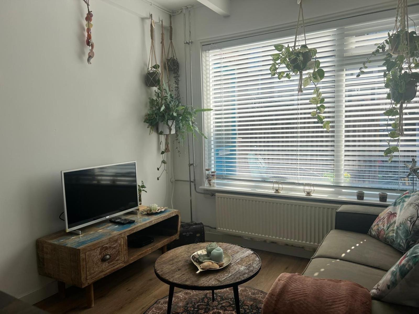 Tiny Beachhouse Noordwijk Εξωτερικό φωτογραφία